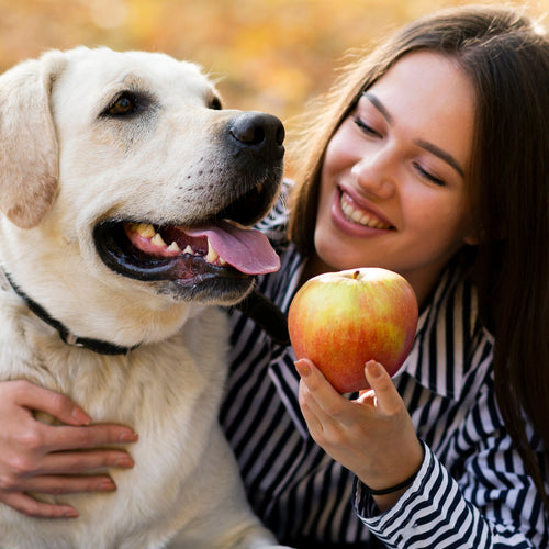 Digestión feliz: señales, causas comunes y hábitos que ayudan de verdad