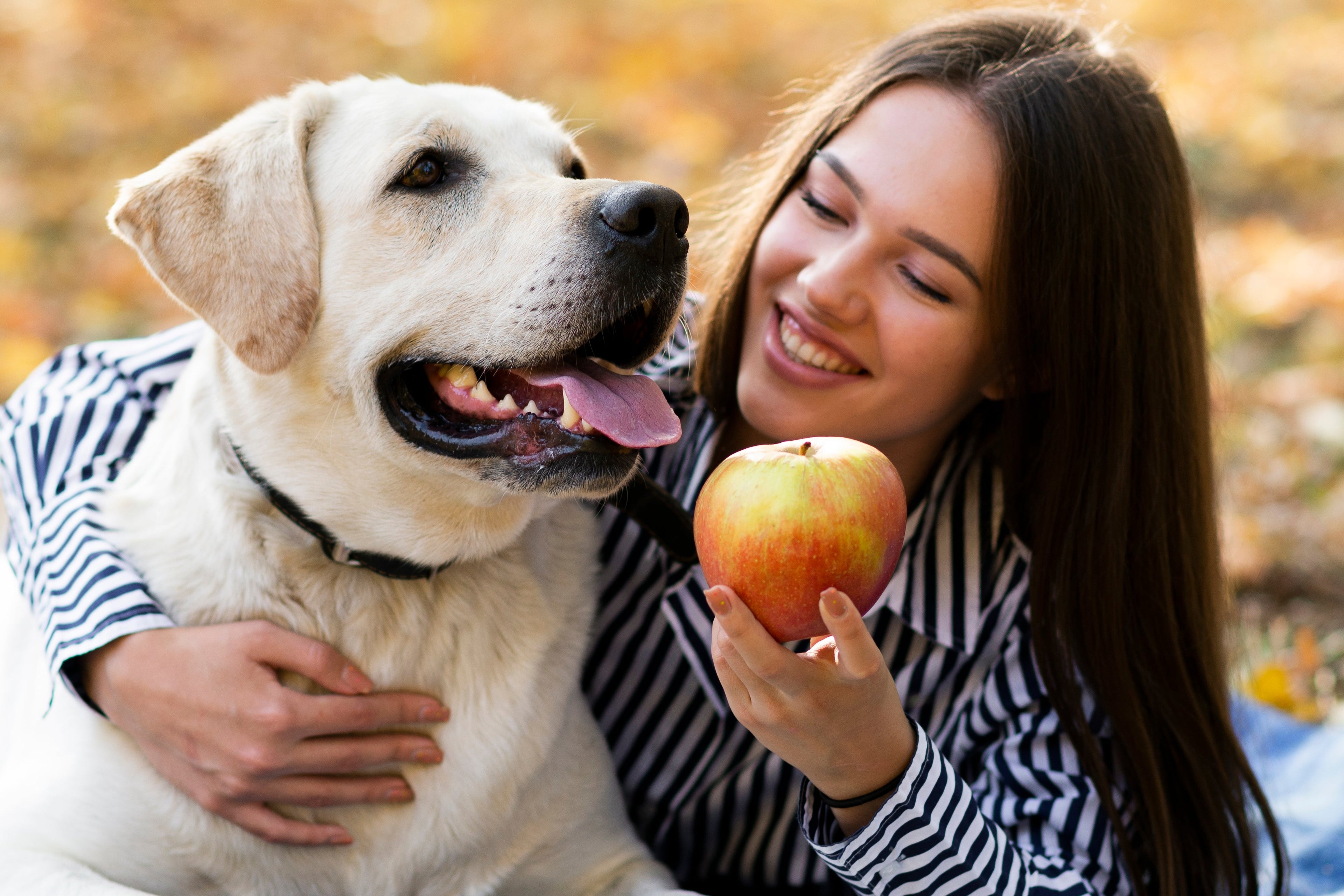 Digestión feliz: señales, causas comunes y hábitos que ayudan de verdad