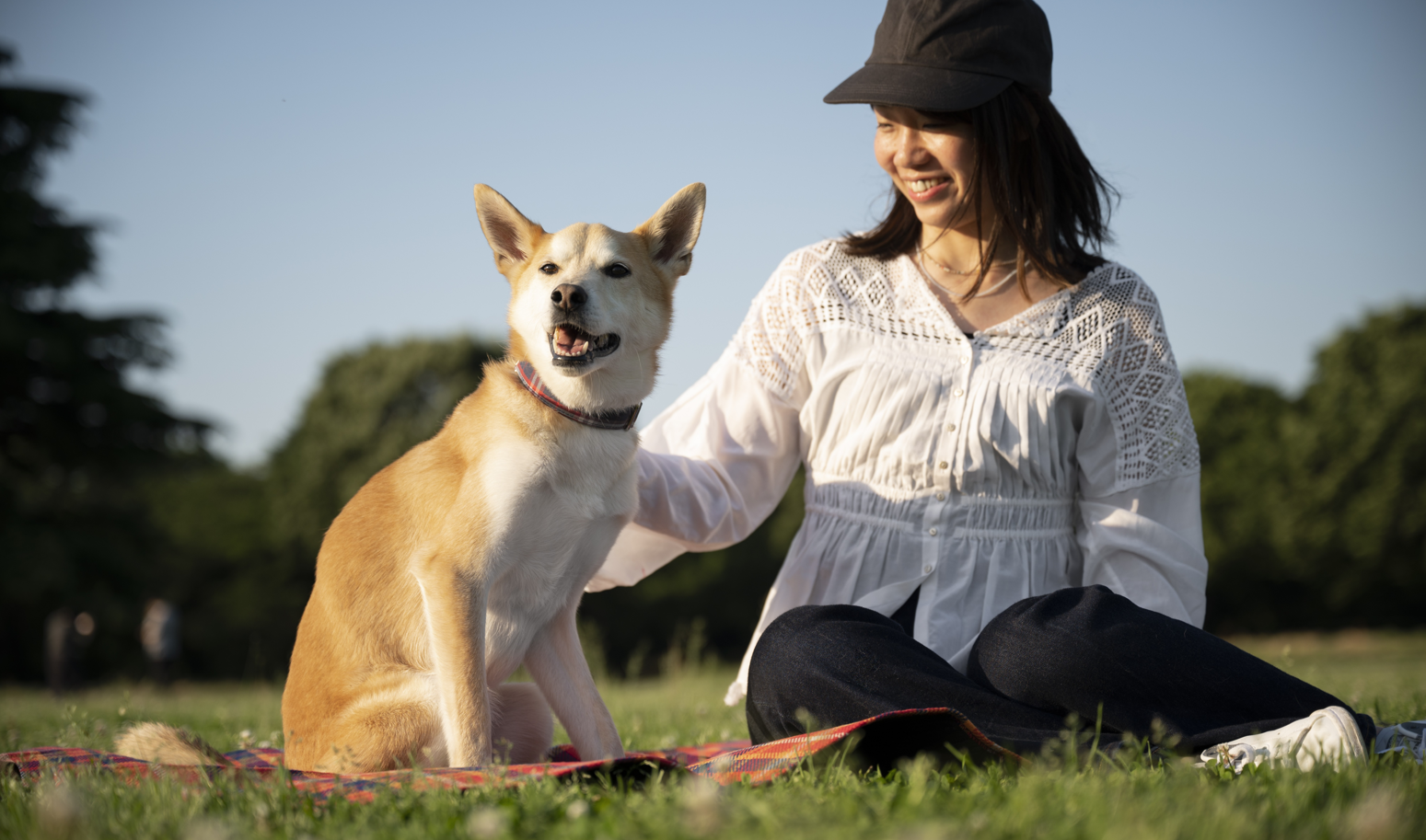 Articulaciones sanas en perros adultos: guía práctica para cuidarlas día a día